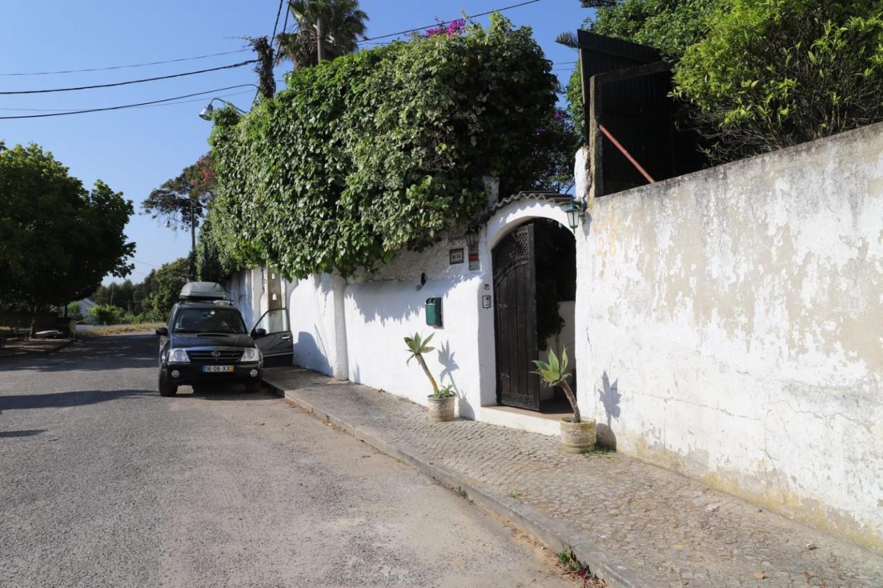 Villa Casa Das Palmeiras シャルネカ エクステリア 写真