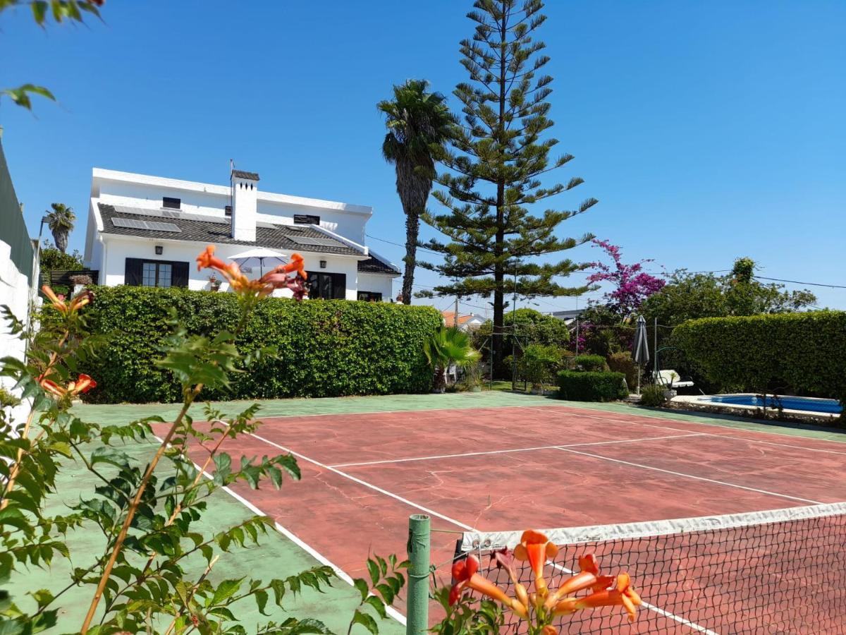 Villa Casa Das Palmeiras シャルネカ エクステリア 写真