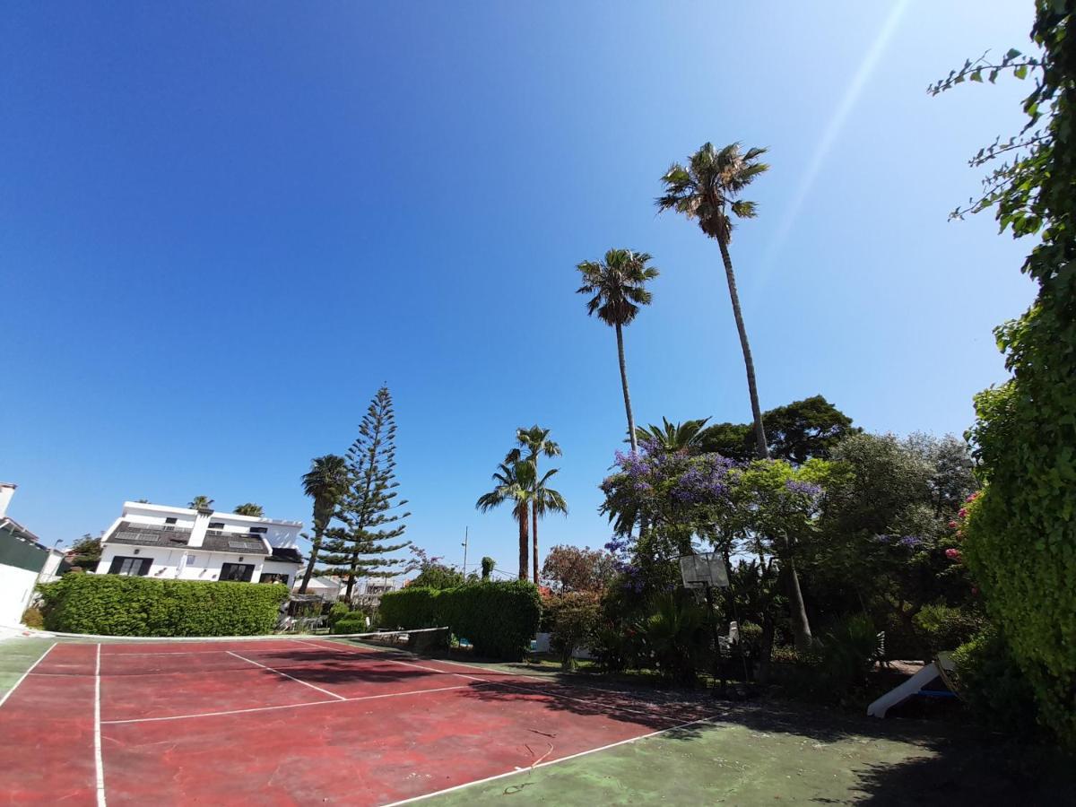 Villa Casa Das Palmeiras シャルネカ エクステリア 写真